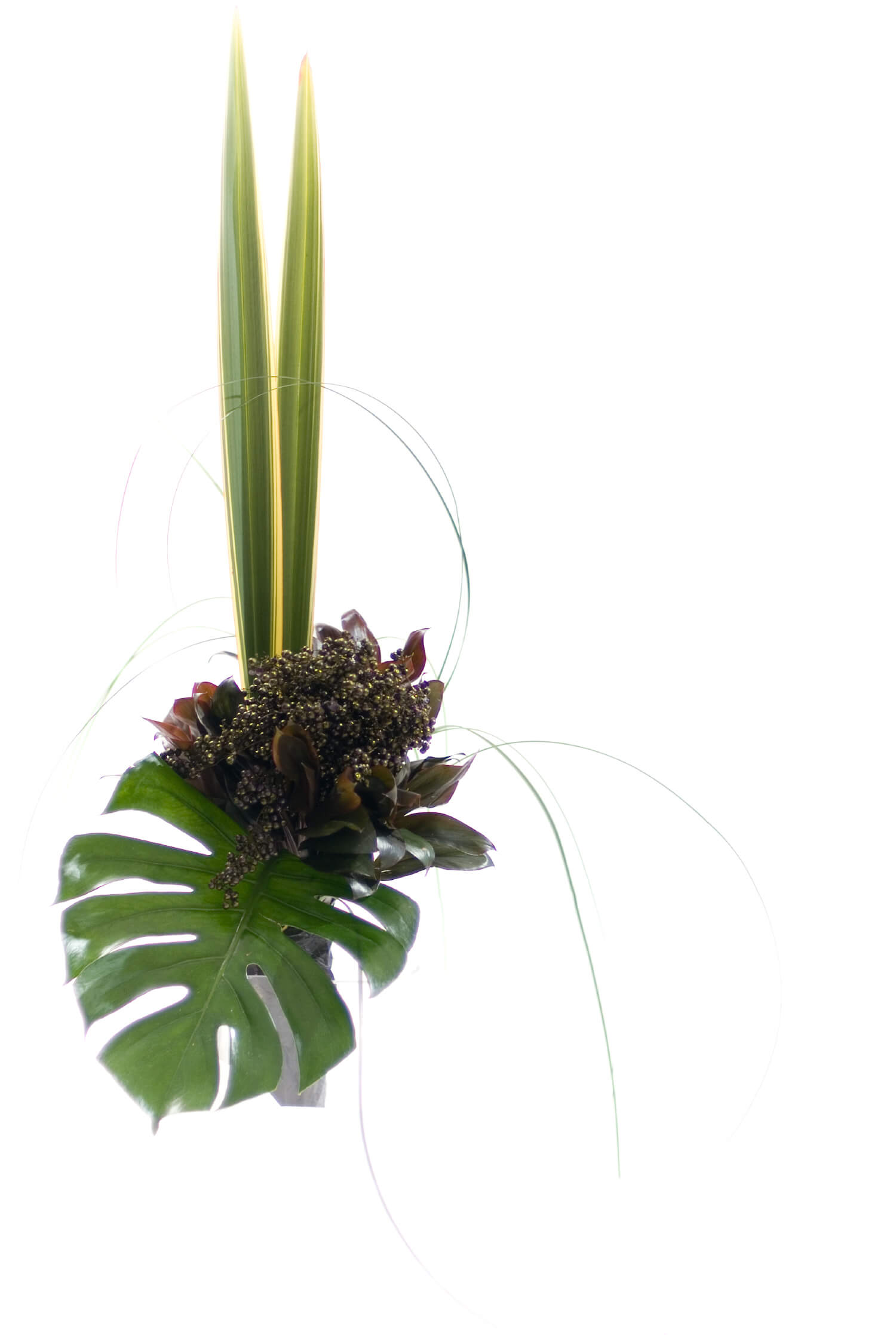 背景画像